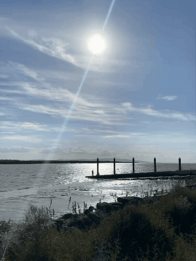 The Coromandel March 2026