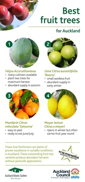 Cover for Garden Advice by Auckland Botanic Gardens